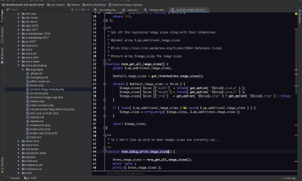 Using Debug Log in WordPress Development