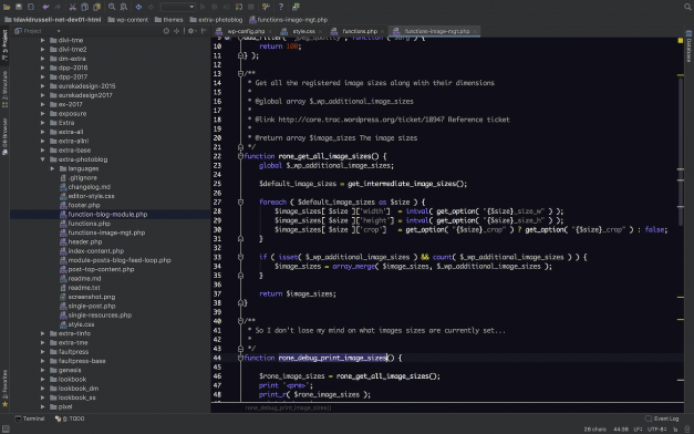 Using Debug Log in WordPress Development