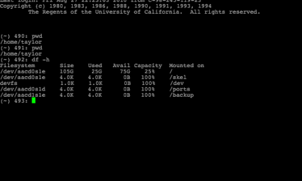 Whats My IP From Command Line
